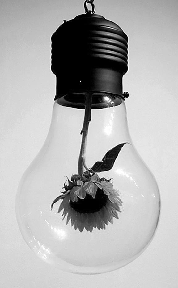 Design Thinking – Muster brechen, um Neues und Ungewöhnliches auszuprobieren